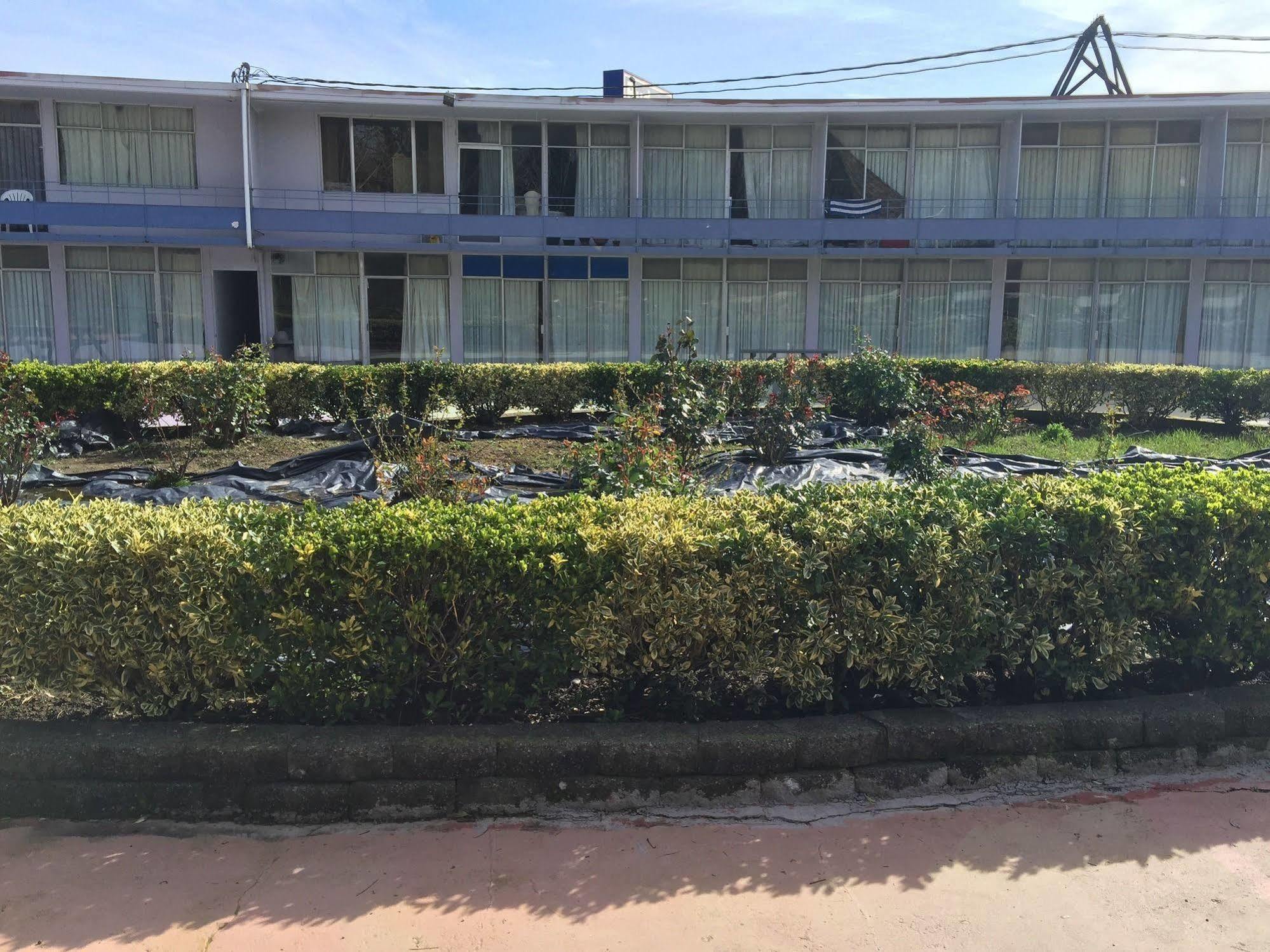 Budget Inn 奥尔巴尼 外观 照片